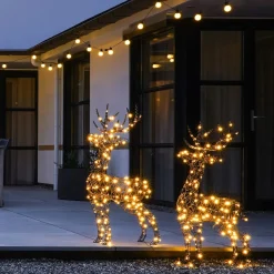 20 LED Light Chain | Warm White Light | Timer | Indoor & Outdoor Use | 4.5 M