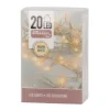 20 LED Light Chain | Warm White | Battery Operated | Indoor Use