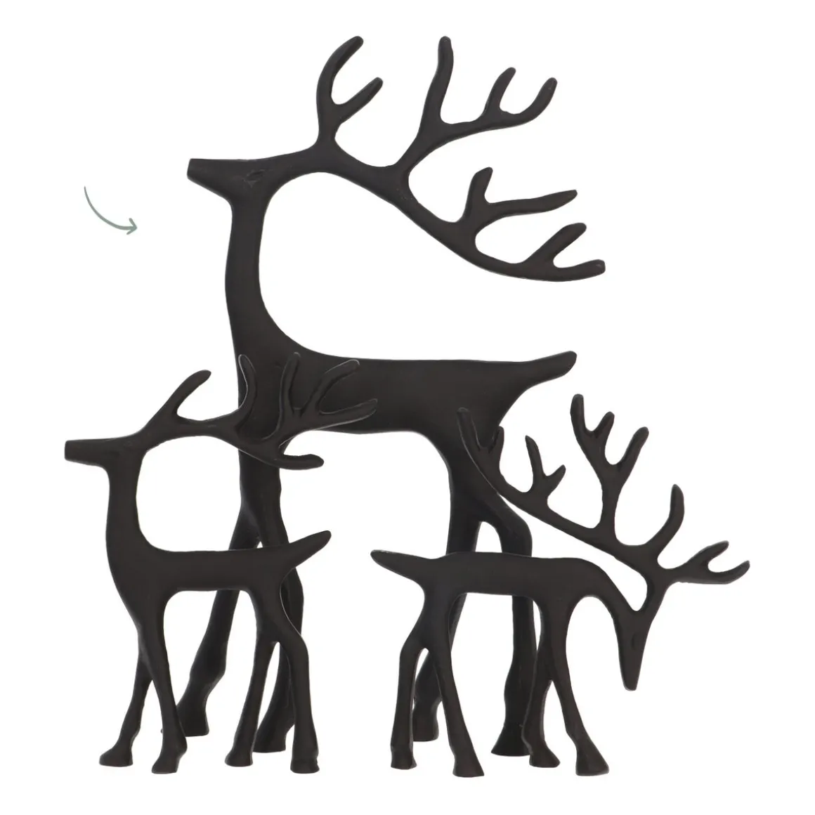 Black Reindeer With Elegant Antlers