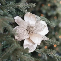 Champagne Magnolia With Glitters And Organza