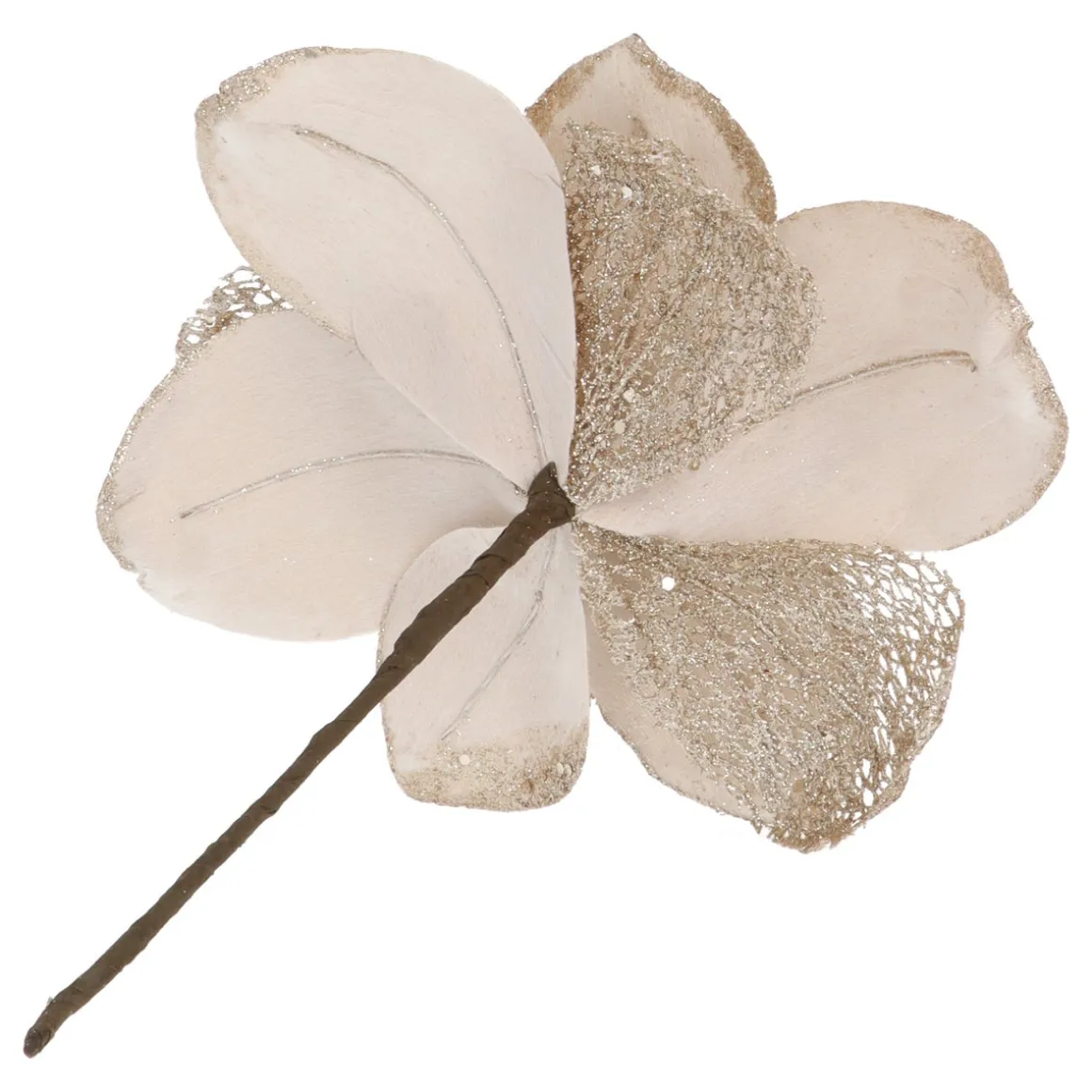 Champagne Magnolia With Glitters And Organza