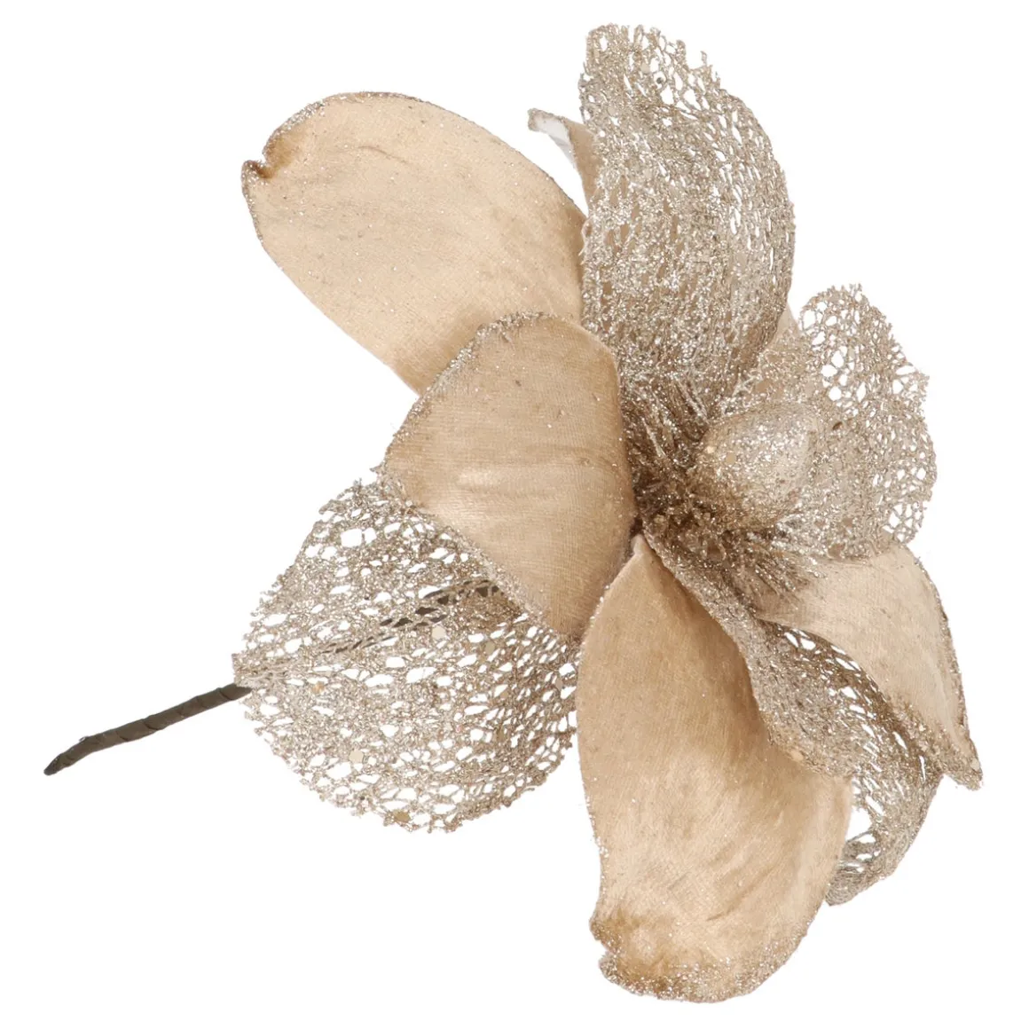 Champagne Magnolia With Glitters And Organza