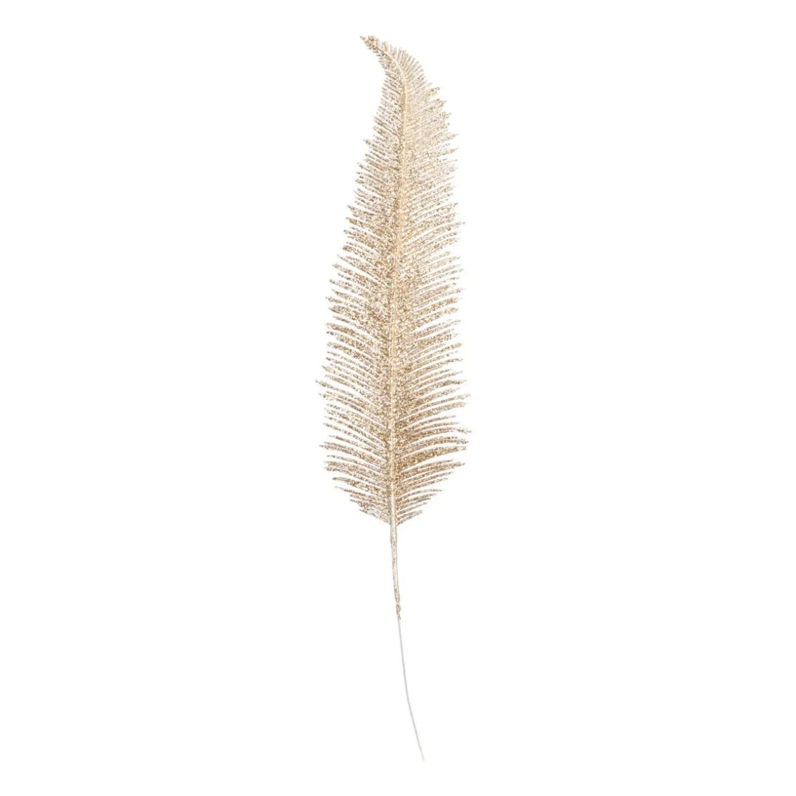 Decorative Feather | Champagne | 43 Cm