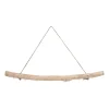 Decorative Hanging Branch With Hooks 60cm Grey