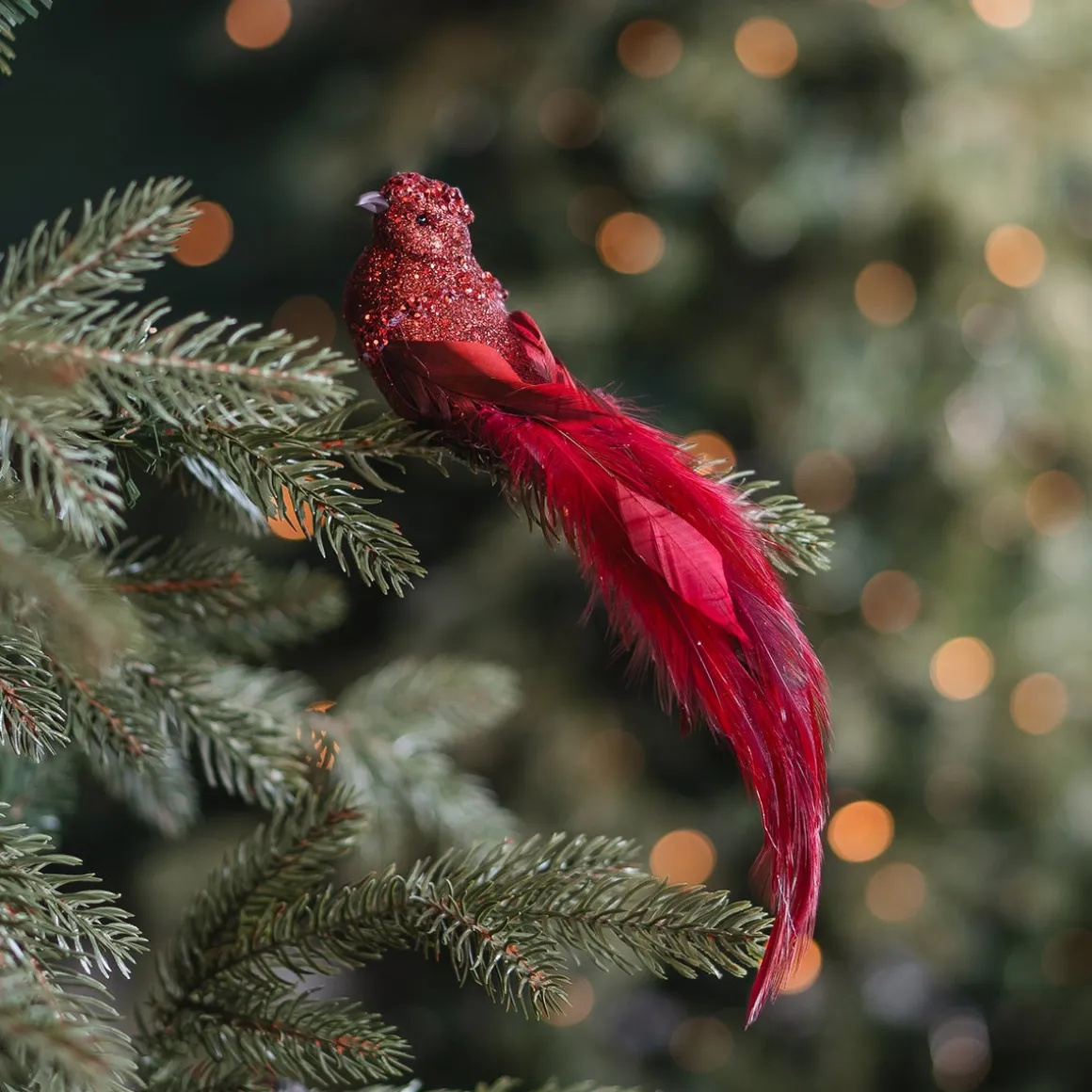 Deep Red Bird On A Clip With Long Tail