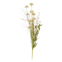 Dried Flower With Pompons | Green | 53 Cm