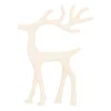 Elegant White Reindeer With Head Up
