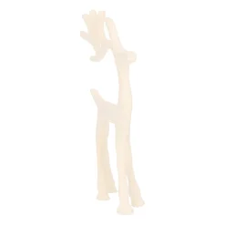 Elegant White Reindeer With Head Up
