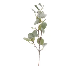Eucalyptus Branch | 43 Cm