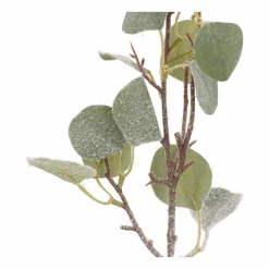 Eucalyptus Branch | 43 Cm