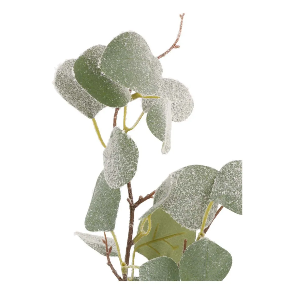 Eucalyptus Branch | 43 Cm