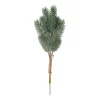Green Narrow Pine Branches With Frost