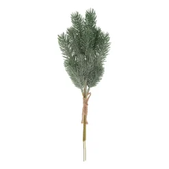 Green Narrow Pine Branches With Frost