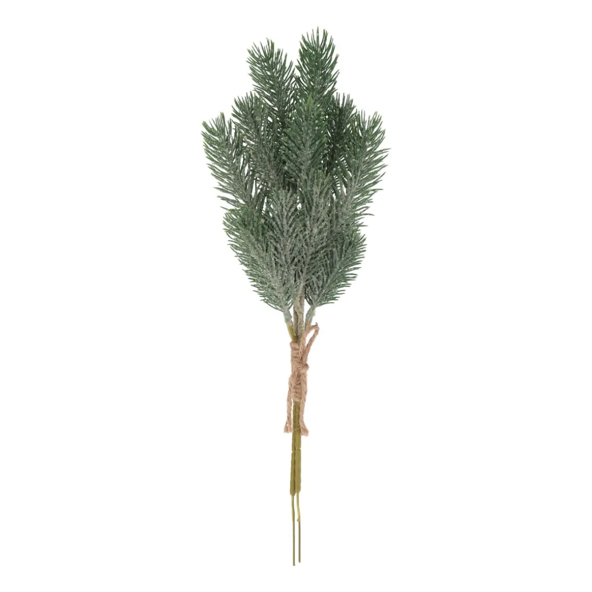 Green Narrow Pine Branches With Frost
