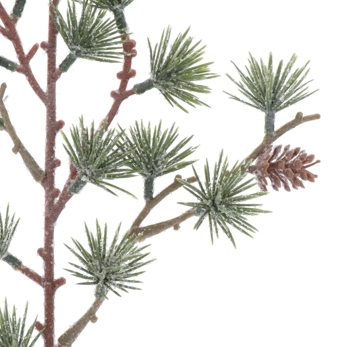 Green Pine Branch With Frost And Pine Cones