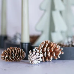 Mix With Pine Cones And Stars 300grams