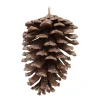 Natural Pinecone With Glitter 12 Cm