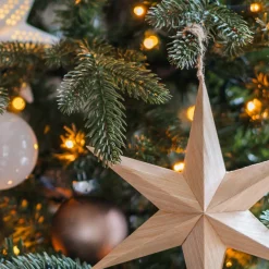 Paper Christmas Star With Realistic Wood Grain