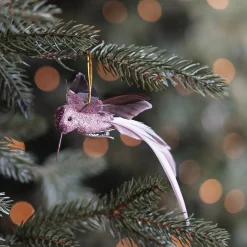 Pink Hummingbird With Playful Wings