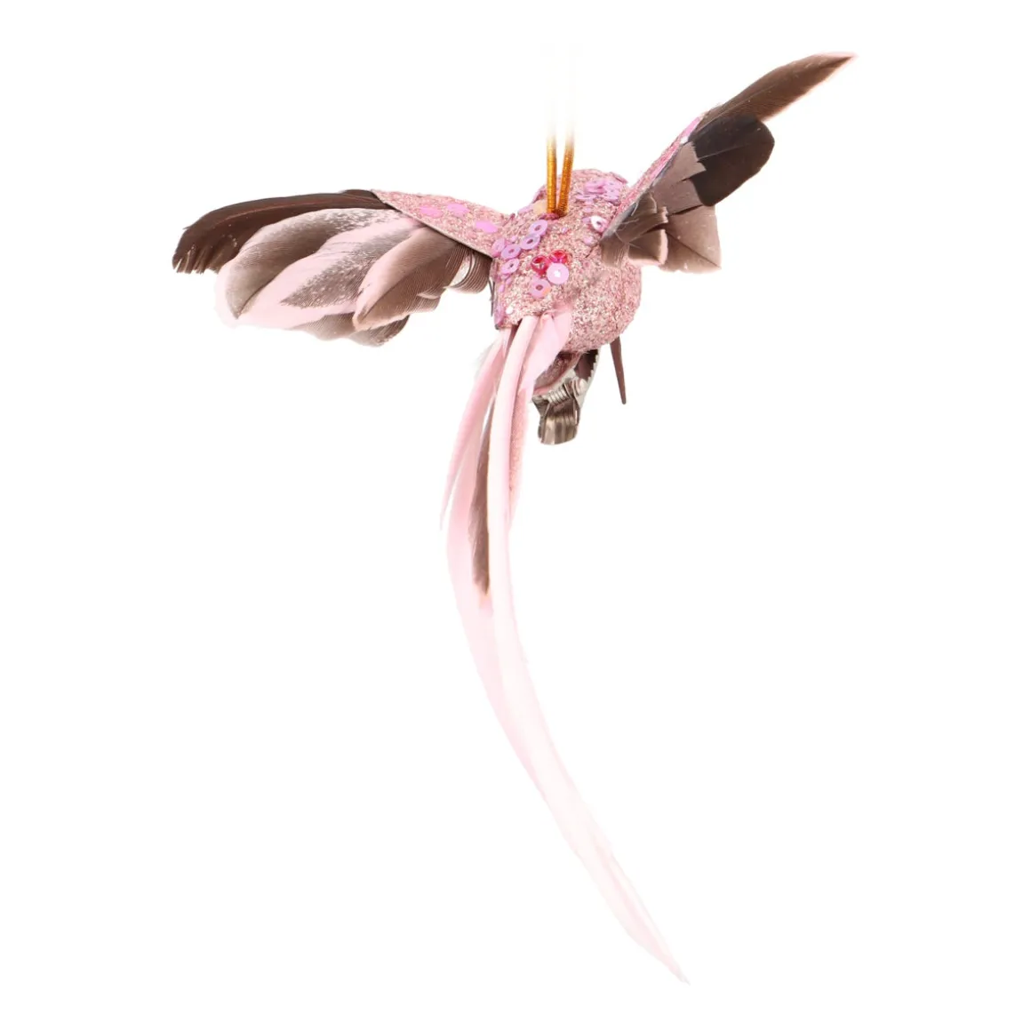Pink Hummingbird With Playful Wings