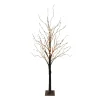 Pre-Lit Black Birch Tree | Warm White LED | Indoor & Outdoor Use | 150 Cm