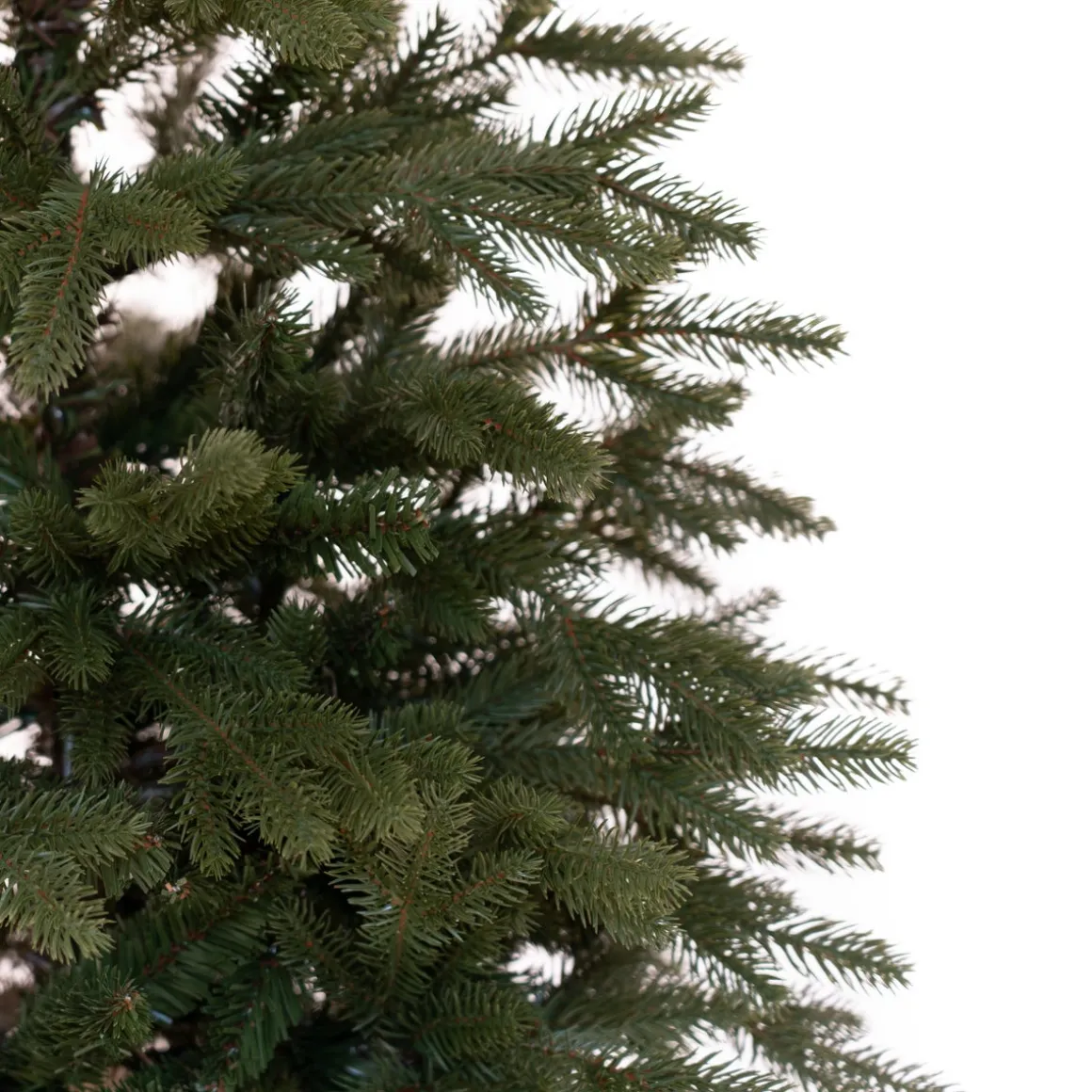 Premium 'Djill' Christmas Tree
