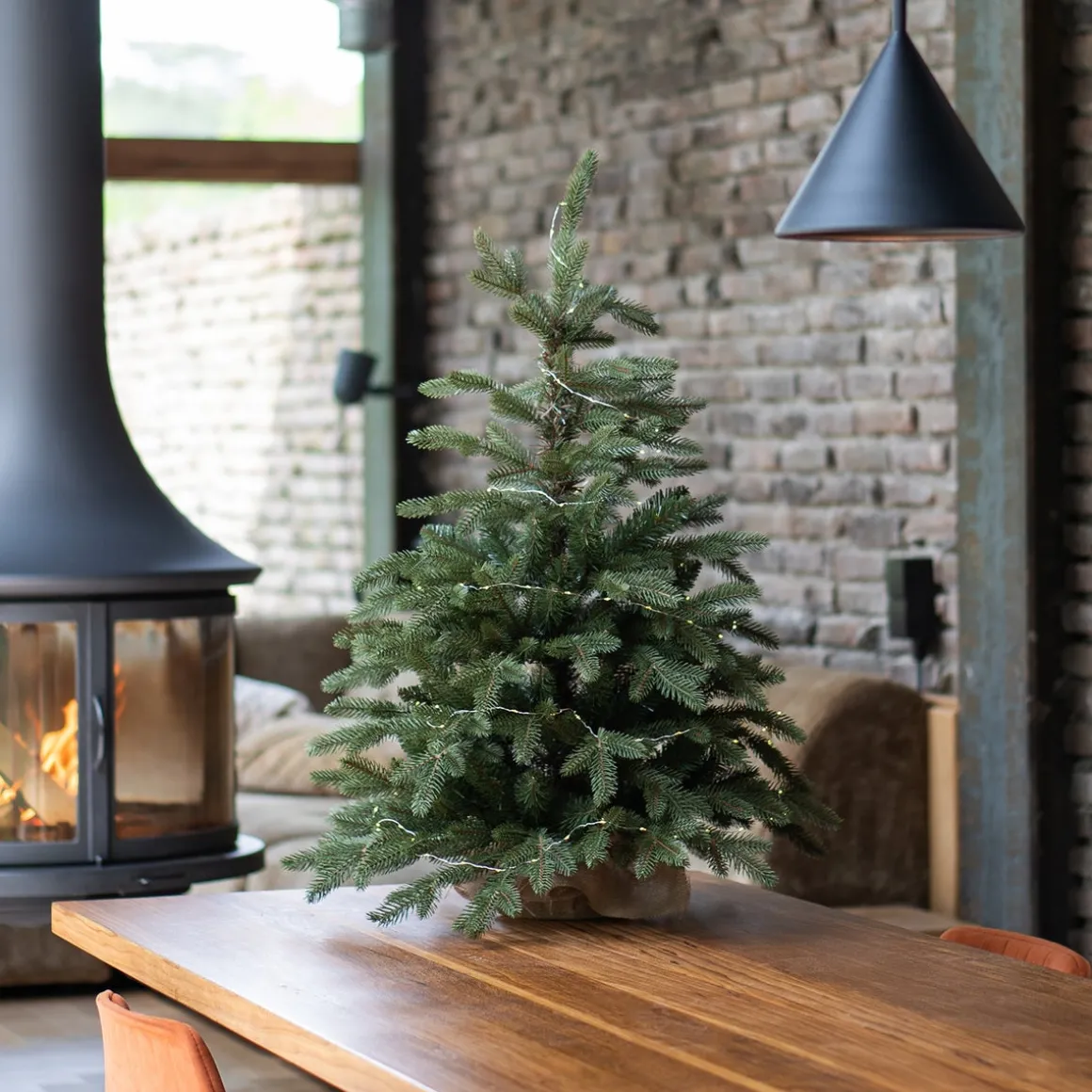 Premium 'Djill' Christmas Tree