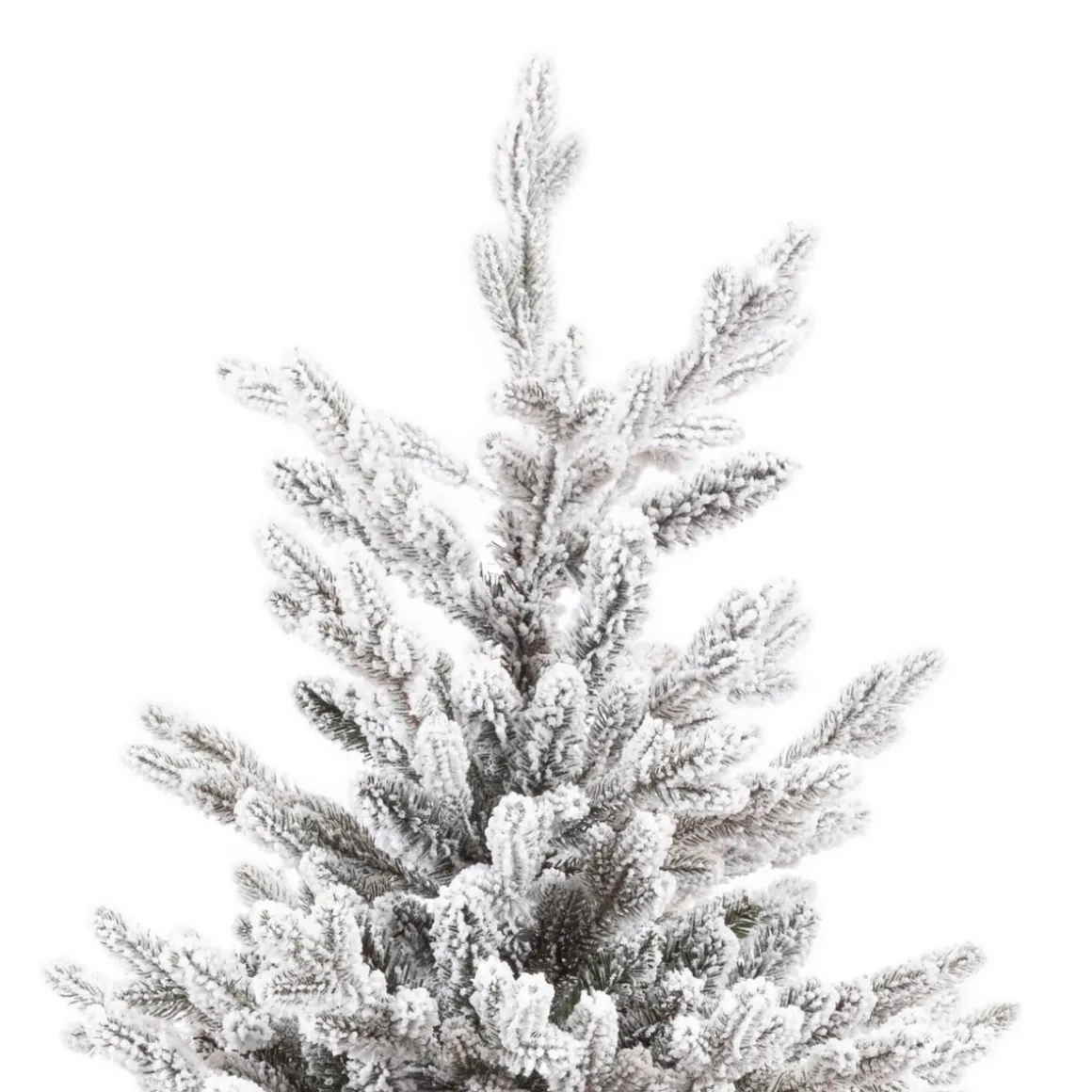 Snowy Christmas Tree Djill Pine | 260 Cm
