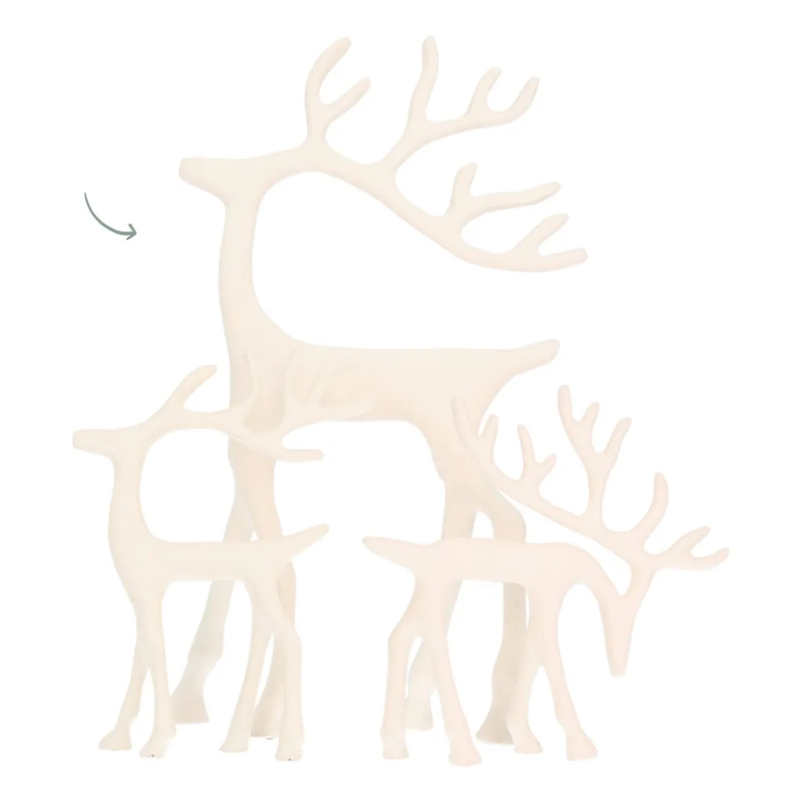 White Reindeer With Elegant Antlers