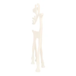 White Reindeer With Elegant Antlers