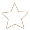Wooden Glitter Star Ornament | Champagne | 24 Cm